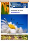 Libro Virtual 1