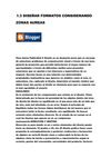 1.3 DISEÑAR FORMATOS CONSIDERANDO ZONAS AUREAS
