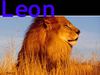 revista leon y el tigre
