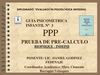 Prueba Precalculo
