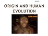 Human Evolution