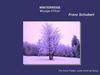 Winterreise de F. Schubert