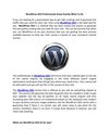 WordPress SEO Professionals Know Exactly What To Do