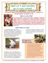 AULA DE METODOLOGIA FLEXIBLE
