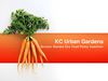 Kansas City Urban Gardens