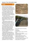 Steps - Sensory Therapy Gardens Fact Sheet