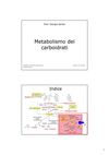 Biochimica - Prof. Sartor (Parte 2)