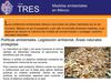 Tema 3 Medidas ambientales en México 
