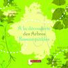 A la découverte des arbres remarquables