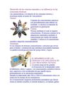desarrollo de las ciencias naturales y su influencia en la creaciones tecnicas