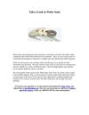 Take a Look at Wafer Seals