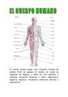 APARATOS DEL CUERPO HUMANO