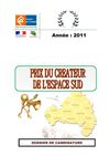 Dossier de candidature du : " Prix du Créateur de l'Espace Sud "