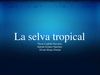 ECOSISTEMA LA SELVA
