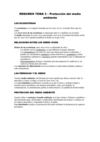 RESUMEN TEMA 3 - CONO