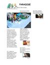 periodico (3)
