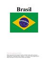 TREBALL BRASIL