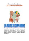 El cuerpo humano