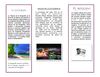 folleto en publisher