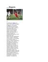 los deportes