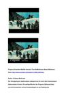Pinguine Antarktis Wildlife Animals Tiere SelMcKenzie Selzer-McKenzie