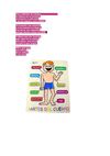 cuerpo humano