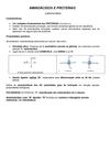 AULA AMINOÁCIDOS e proteínas
