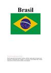 TREBALL BRASIL