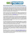 SEO Auckland Option For One's Business