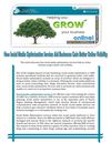 How Social Media Optimization Services Aid Businesses Gain Better Online Visibility