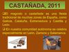 Castañada 2011