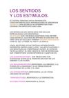 EL SISTEMA NERVIOSO-Rocio Villalba