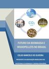 Futuro da Biomassa, Bioenergia e WoodPellets no Brasil 