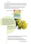 Bulletin de soutien Particuliers "Citoyens solidaires"