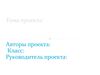 Шаблон презентации