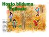 Hosto bilduma 6.B1