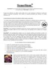 synerstem-13010302_13