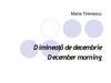 Dimineaţă de decembrie / December morning
