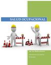Salud Ocupacional - Seguridad e Higiene Industrial