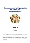 LINEAMIENTOS SAI