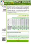 Bilan sécurité routière Alsace novembre 2011