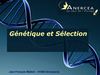 Génétique & sélection en apiculture
