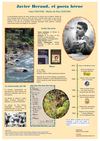 Infografía de Javier Heraud (RATAVI) - Diplomado USMP