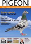 PIGEON MAGAZINE N°2