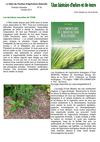 Feuille 18 ITAN - 2011-1