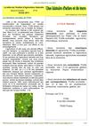 Feuille 19 ITAN - 2011-2