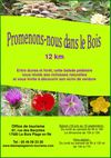 Promenade pédestre 12km