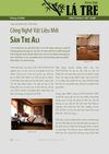 PINCTADALI VIỆT NAM - TIÊN PHONG VÁN SÀN TRE (www.bambooali.com)