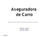 Aseguradora de carros (Clientes)