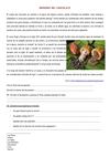 origenes del chocolate